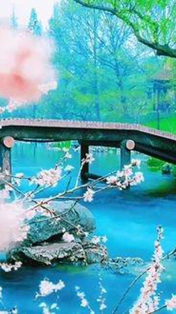 召唤神龙万宁版祖龙